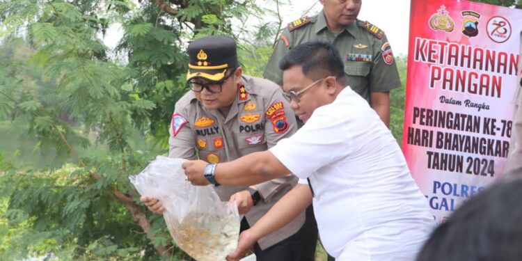 Dukung Program Ketahanan Pangan, Polres Tegal Kota Tabur Benih Ikan di Polder Bayeman