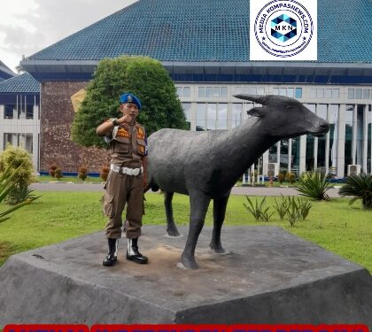 Sosok Teladan Suwandi yang merupakan Anggota Satpol PP Prov Sultra