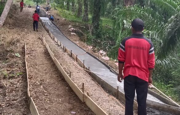 Salah Satu Kegiatan Fisik di Desa Talang Alai yang di Danai Dana Desa