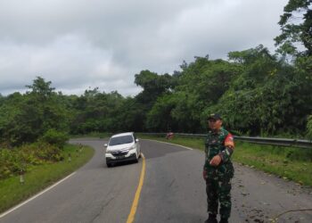 Anggota Koramil 1204-07/Tayan Hilir,Membersihkan Pohon tumbang di Jln Raya, Tayan – Sanggau