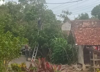 Pengusaha RTRW Net Di Cibadak, Ngaku Berani Pasang Kabel Di Tiang Listrik Lantaran Ada Koordinasi Dengan Petugas PLN