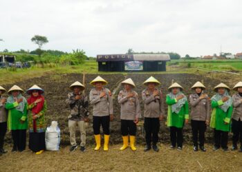 Polres Tegal Gelar Penanaman Jagung Serentak 1 Juta Hektar di Desa Karangjati