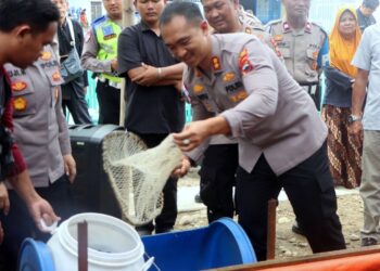 Program Ketahanan Pangan, Polres Tegal Kota Panen Perdana Ikan Lele