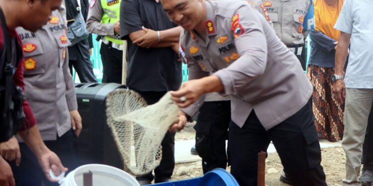 Program Ketahanan Pangan, Polres Tegal Kota Panen Perdana Ikan Lele