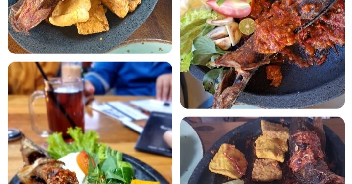 Budidaya Ikan Lele Sampai Menghasilkan Produk Unggulan Laras Garden Resstro