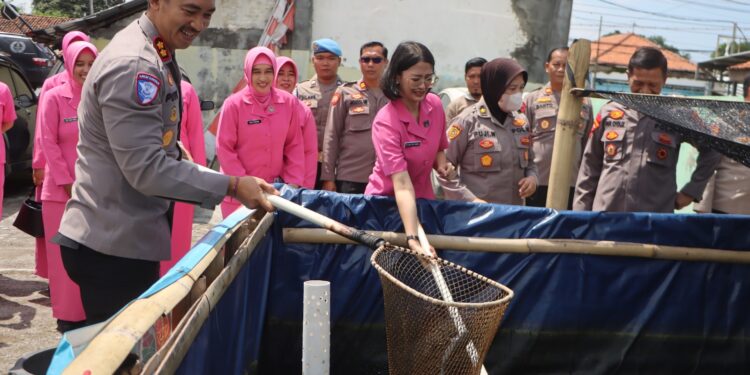 Dukung Ketahanan Pangan, Polsek Sumurpanggang dan Tegal Timur Kota Tegal Panen Ikan Lele