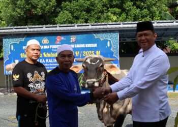 Rayakan Idul Adha 1446 H, Polda Kalteng Sembelih 52 Sapi dan 12 Kambing