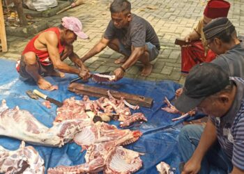KJK Berkurban di Situ Gede, Wujudkan Kepedulian Sosial Lewat Idul Adha 1446 H
