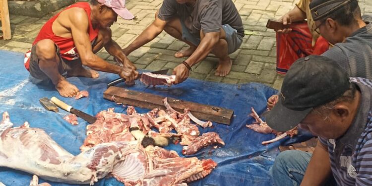 KJK Berkurban di Situ Gede, Wujudkan Kepedulian Sosial Lewat Idul Adha 1446 H