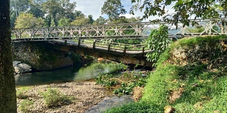Pemkab Banyuwangi Targetkan Selesaikan Jembatan Sementara Sungai Lembu Dalam Jangka Waktu Sebulan