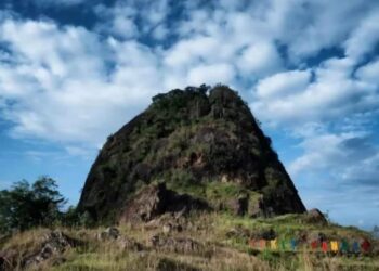 Potensi Miliaran Rupiah Hilang, Bukit Kandis Dibiarkan Mati Suri