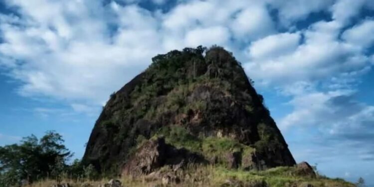 Potensi Miliaran Rupiah Hilang, Bukit Kandis Dibiarkan Mati Suri